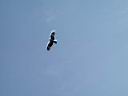 DSCN0143.JPG